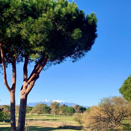 L' Appart Du Golf سان سيبريان المظهر الخارجي الصورة