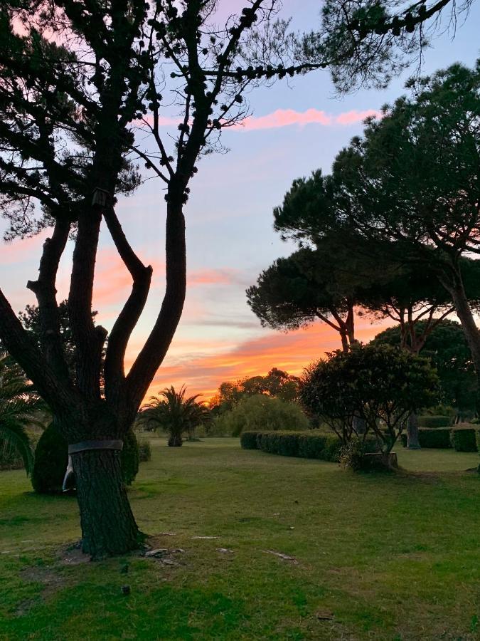 L' Appart Du Golf سان سيبريان المظهر الخارجي الصورة